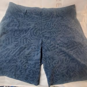 Nike Golf Men's Standard Fit Dri-Fit Shorts Size 40 NWT